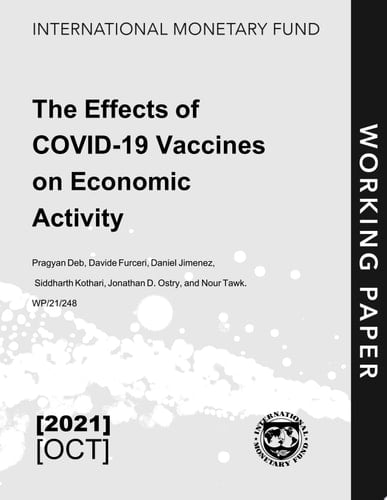The Effects of COVID-19 Vaccines on Economic Activity