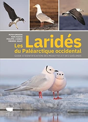 Les Laridés du Paléarctique occidental Guide d'identification des mouettes et des goélands