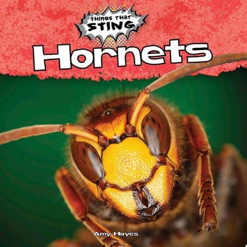 Hornets