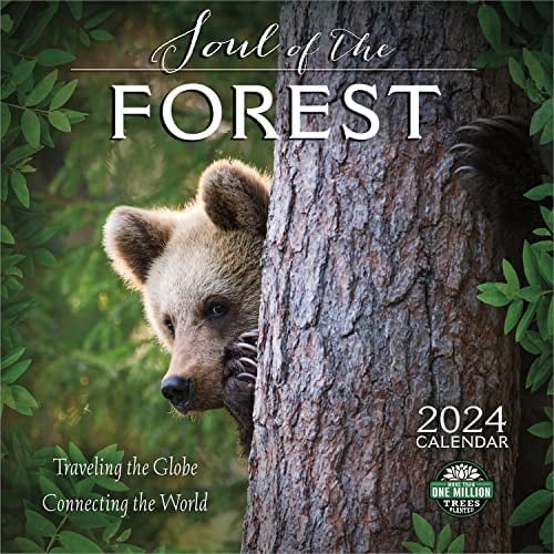 The Soul of the Forest 2024 Wall Calendar: Traveling the Globe, Connecting the World | 12" x 24" Open | Amber Lotus Publishing