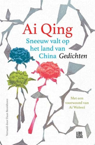 Sneeuw valt op het land van China