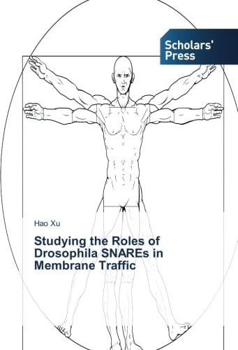 Studying the Roles of Drosophila SNAREs in Membrane Traffic