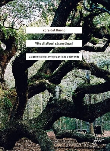 Vite di alberi straordinari viaggio tra le piante più antiche del mondo