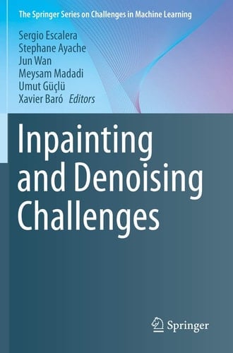 Inpainting and Denoising Challenges
