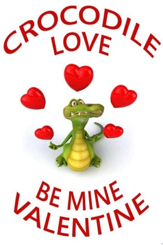 Be Mine Valentine, Crocodile Love