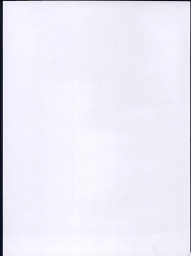 Planning in the USA Policies, Issues and Processes