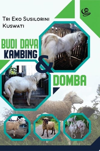 Budi Daya Kambing dan Domba