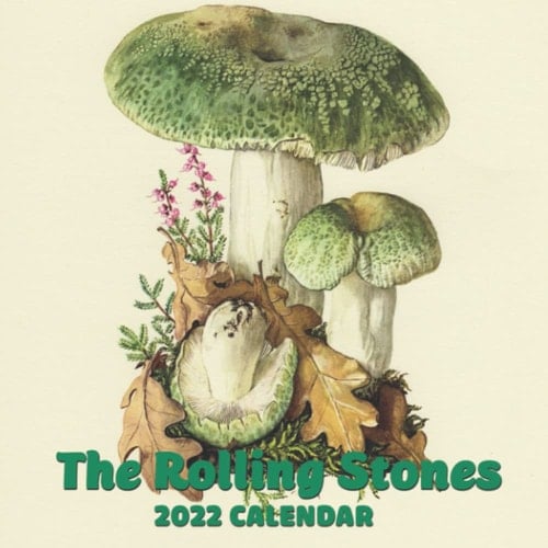 Mushrooms Daily Calendar 2022 Monthly January 2022 - December 2022 OFFICIAL Squared Monthly Calendar, 12 Months | BONUS 4 Months 2022
