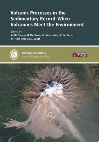 Volcanic Processes in the Sedimentary Record when Volcanoes meet the Environment