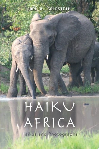 Haiku Africa Haikus and Photographs