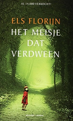 Het meisje dat verdween roman