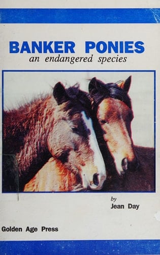 Banker Ponies An Endangered Species