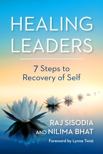 Healing Leaders 7 Steps to Recovery of Self