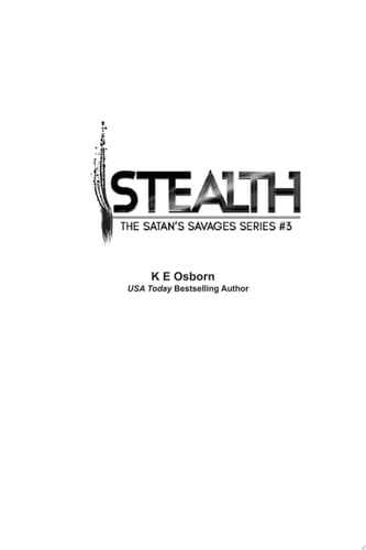 Stealth (A Deception, MC Romance)