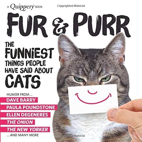 Fur & Purr The Funniest Things People Have Said About CATS
