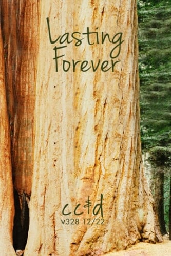Lasting Forever: 12/22 cc&d, v328