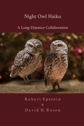 Night Owl Haiku: A Long-Distance Collaboration