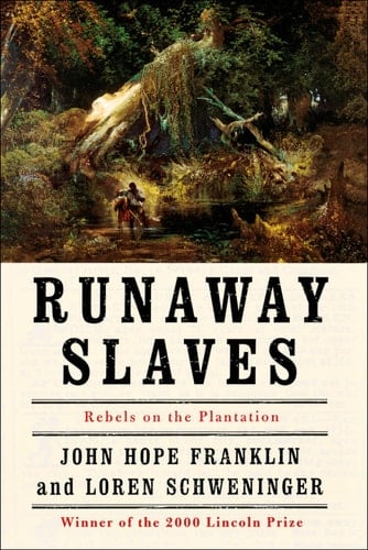 Runaway Slaves: Rebels on the Plantation