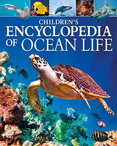 Children's Encyclopedia of Ocean Life A Deep Dive Into Our World's Oceans
