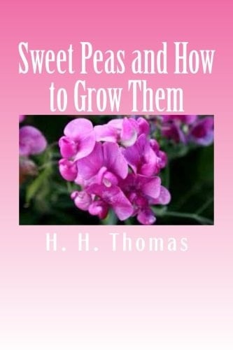Sweet Peas and How to Grow Them
