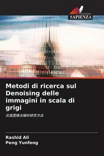 Metodi di ricerca sul Denoising delle immagini in scala di grigi: (Italian Edition)
