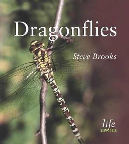 Dragonflies