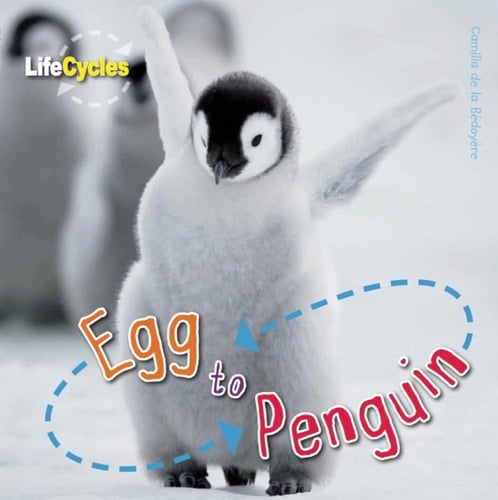 Egg to Penguin