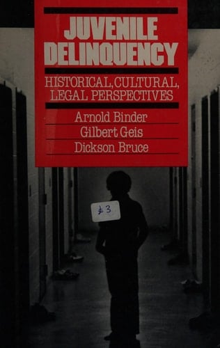 Juvenile Delinquency: Historical, Cultural, Legal Perspectives (Macmillan Criminal Justice Series)