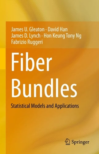 Fiber Bundles Statistical Models and Applications