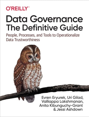 Data Governance The Definitive Guide : People, Processes, and Tools to Operationalize Data Trustworthiness