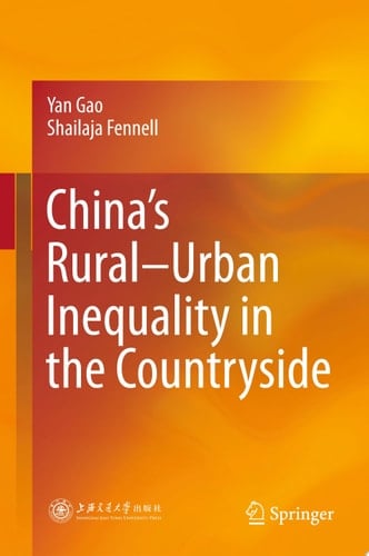 China’s Rural–Urban Inequality in the Countryside