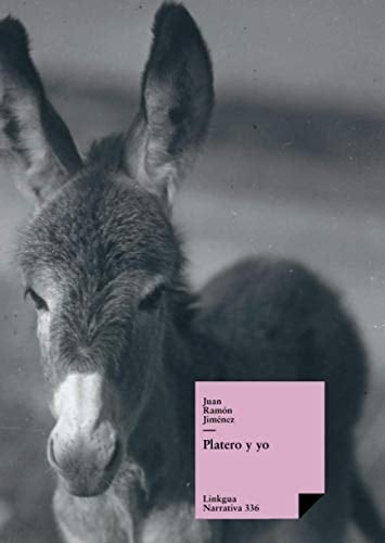 Constitucion de Chile De 1980