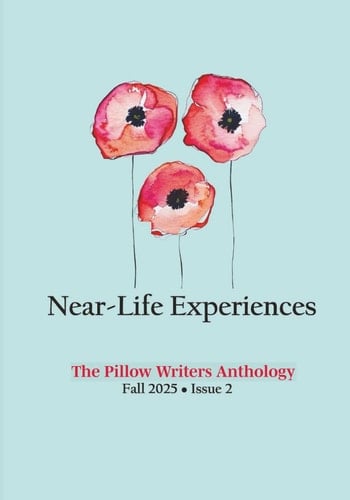 Near-Life Experiences: The Pillow Writers Anthology, Issue 2