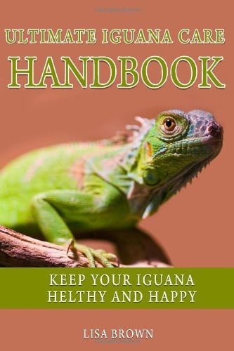 Ultimate Iguana Care Handbook Make Your Iguana Healthy and Happy