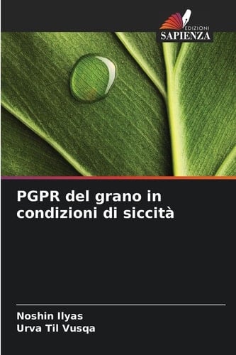 PGPR del grano in condizioni di siccità