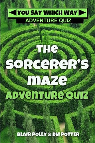 The Sorcerer's Maze
