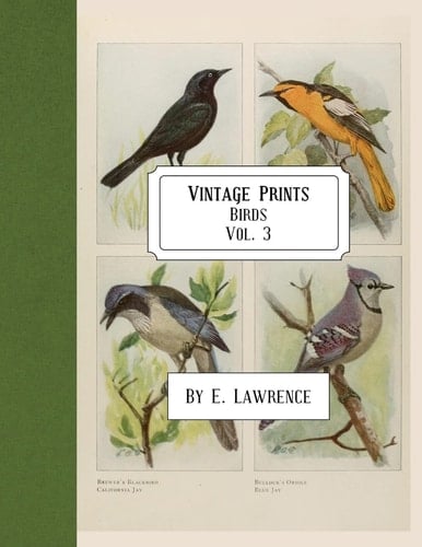Vintage Prints Birds: Vol. 3