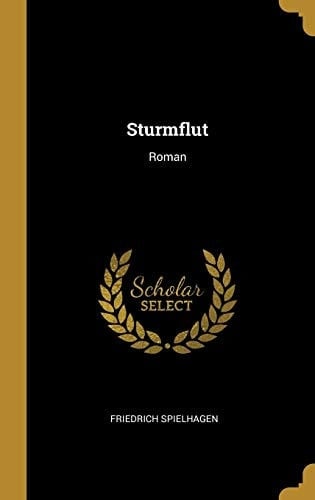 Sturmflut Roman