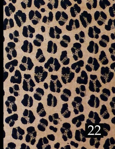 2022 Daily 24 Hour Planner: Hourly Schedule Book, Use for Appointments, Academics, Time Slots for all Hours of the Day, Contacts, Passwords, Moon Phases, Holidays, Note Paper,Great Gift, Leopard Cover