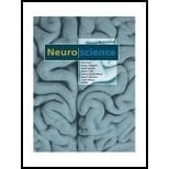 Neurosciane-TEXT ONLY