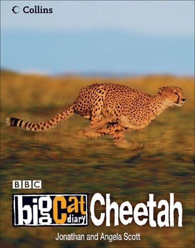 Big Cat Diary: Cheetah