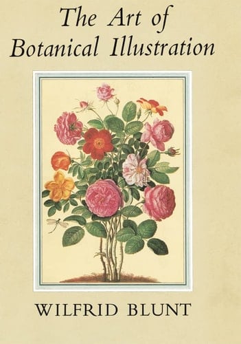 NN ART BOTANICAL ILLUST 14