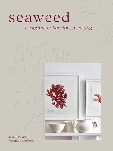 Seaweed Foraging, Collecting, Pressing