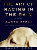 The Art Of Racing In The Rain