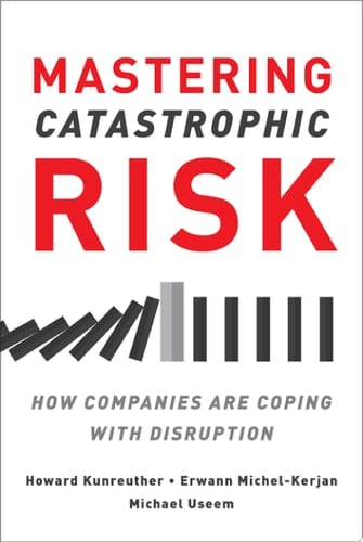 Mastering Catastrophic Risk: How Companies Are Coping with Disruption