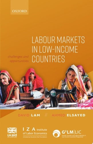 Labour Markets in Low-income Countries Challenges and Opportunities