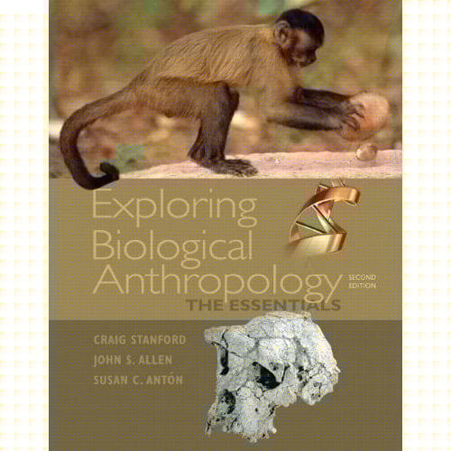 Exploring Biological Anthropology: The Essentials by Craig Stanford (2010-05-03)