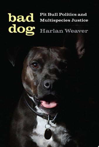 Bad Dog Pit Bull Politics and Multispecies Justice