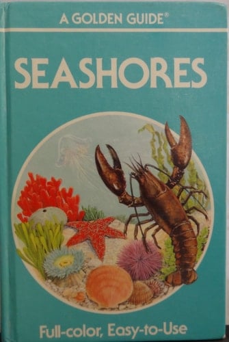 Seashores