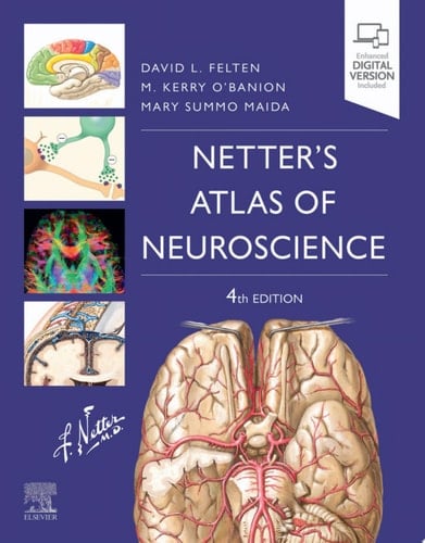 Netter's Atlas of Neuroscience E-Book Netter's Atlas of Neuroscience E-Book